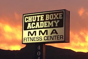 Chute Boxe Academy image