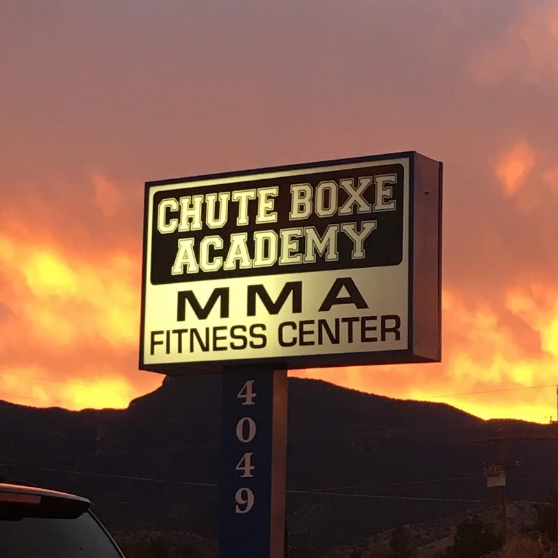 Chute Boxe Academy