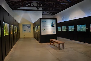 Campinas Municipal Aquarium image