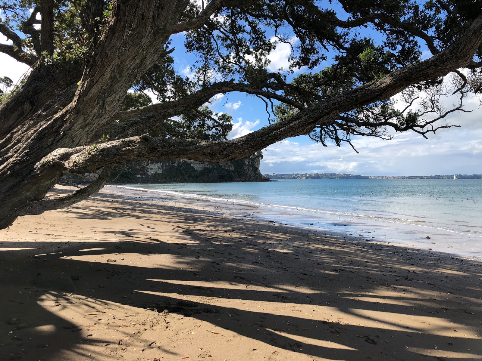 Fotografija Pohutukawa Bay Beach z svetel pesek površino