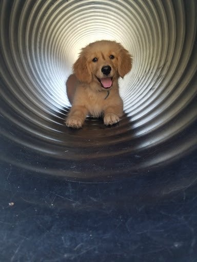 Pet Store «Animal House», reviews and photos, 7869 Hamilton Ave, Cincinnati, OH 45231, USA