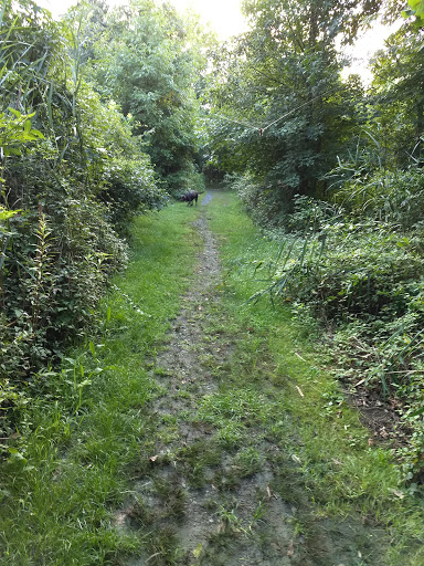 Park «Eastern Regional Park», reviews and photos, 11723 Eastern Ave, Middle River, MD 21220, USA