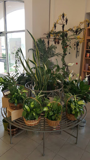 Florist «1-800Flowers/Colonial», reviews and photos, 1430 High St #1106, Williamsburg, VA 23185, USA