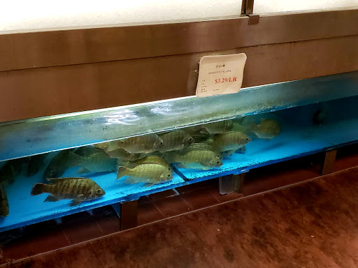 Grocery Store «MD Oriental Market BRANDON», reviews and photos, 10127 E Adamo Dr, Tampa, FL 33619, USA