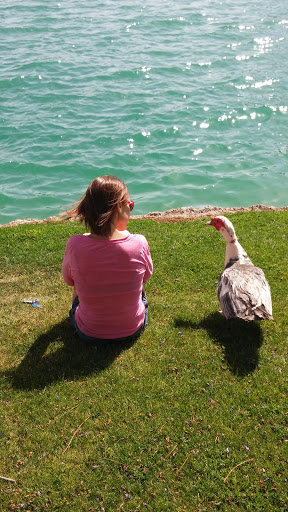 Coffee Shop «Coffee Rush», reviews and photos, 1949 W Ray Rd #40, Chandler, AZ 85224, USA