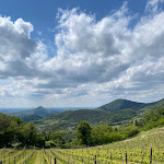 Photo n°2 de l'avis de alessandro.a fait le 16/05/2024 à 09:46 sur le  Trattoria Teresa Di Bressan Loretta à Cinto Euganeo