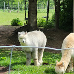 Photo n°1 de l'avis de Marcel.a fait le 18/08/2020 à 13:20 sur le  Hofstube Gut Blockshagen à Mielkendorf