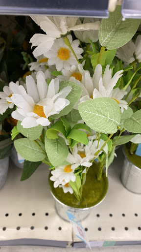 Supermarket «WinCo Foods», reviews and photos, 1920 Olympic St, Springfield, OR 97477, USA