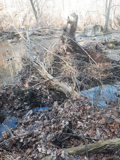 Nature Preserve «White Clay Creek State Park Nature Center», reviews and photos, 1475 Creek Rd, Newark, DE 19711, USA