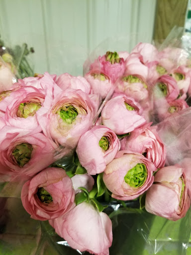 Florist «Sieck-Wright Floral Products», reviews and photos, 231 Monmouth St, Hightstown, NJ 08520, USA