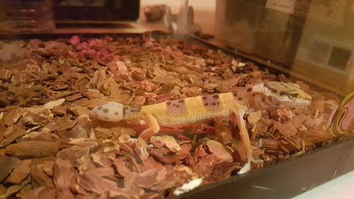 Pet Supply Store «Petco Animal Supplies», reviews and photos, 35725 Warren Rd, Westland, MI 48185, USA