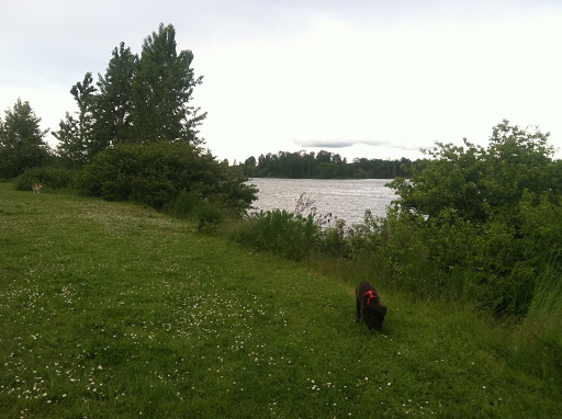 Park «Willamette Park», reviews and photos, SW Macadam Ave, Portland, OR 97219, USA