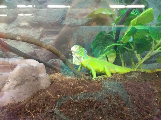 Pet Supply Store «Petco Animal Supplies», reviews and photos, 3300 Broadway St, Eureka, CA 95501, USA