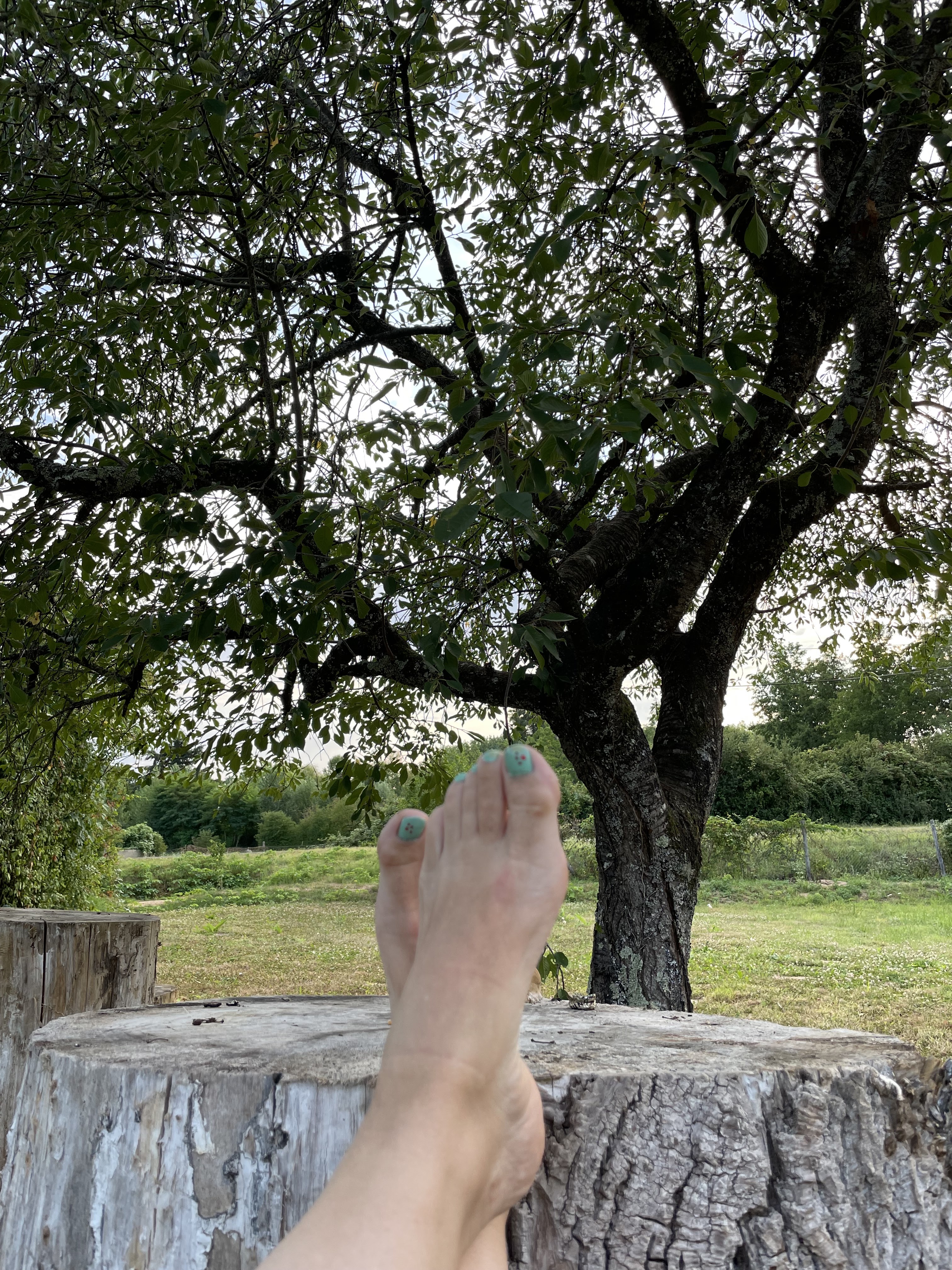 Photo n° 1 de l'avis de Mónica.i fait le 21/08/2022 à 22:16