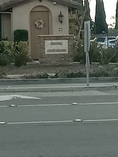 Explore rapunzel tattoo ideas, creative tattoo ideas in Anaheim, available at The Golden Alley Tattoo Co.