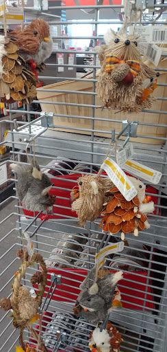 Craft Store «Michaels», reviews and photos, 2901 Rio Grande Blvd #700, Euless, TX 76039, USA