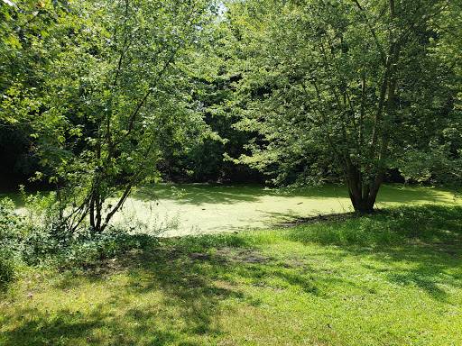 Nature Preserve «Knute Olson, Jr. Forest Preserve», reviews and photos, 12595 Base Line Rd, Kingston, IL 60145, USA