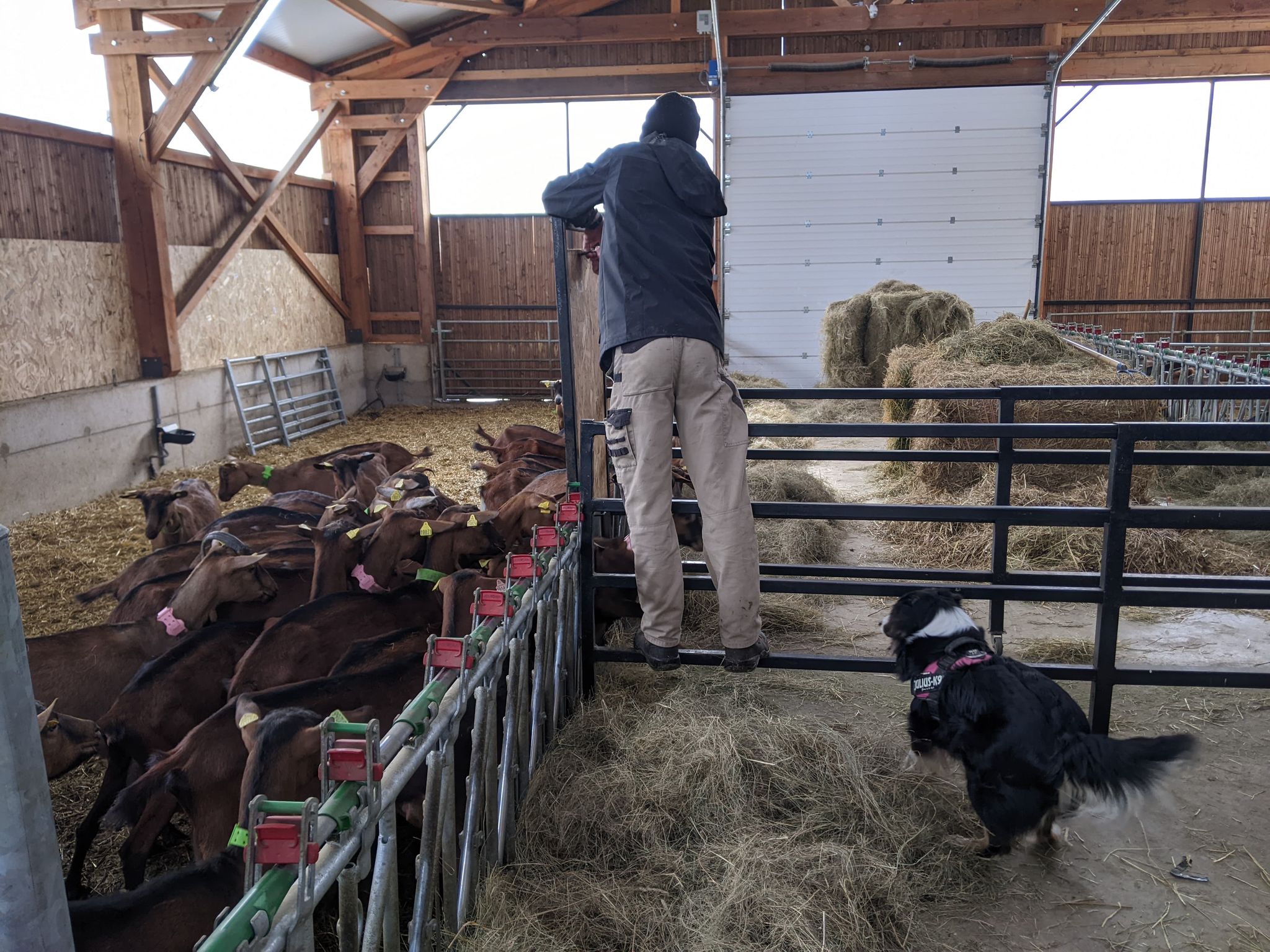 Photo n° 1 de l'avis de Marie.u fait le 09/04/2022 à 10:29