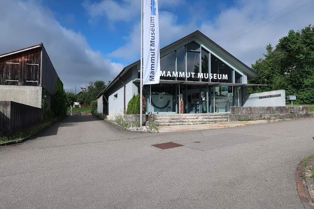 Rezensionen über Mammutmuseum in Baden - Museum