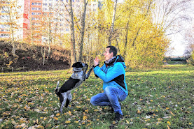 Trenér psů Robert Zlocha: výcvik psů moderními a etickými metodami
