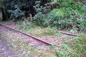 Balmoral Tramway Cutting image