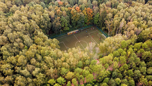 Forest Soccer Field