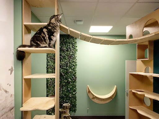 Best Animal Hotels Paris Near Me