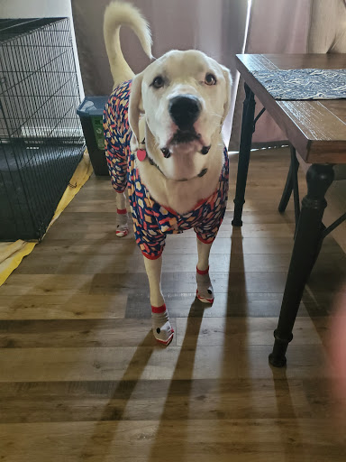 Pet Supply Store «Unleashed», reviews and photos, 1319 Military Cutoff Rd, Wilmington, NC 28405, USA