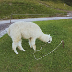 Photo n°2 de l'avis de Jasmine. fait le 21/08/2021 à 09:31 sur le  Rifugio Tamai à Sutrio