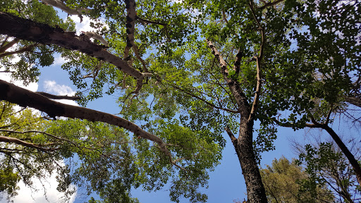 Tourist Attraction «Oregon Vortex», reviews and photos, 4303 Sardine Creek L Fork Rd, Gold Hill, OR 97525, USA