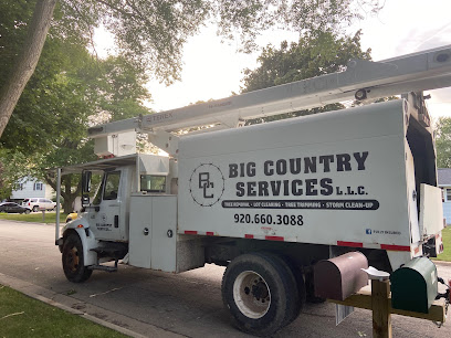 Big Country Tree Services