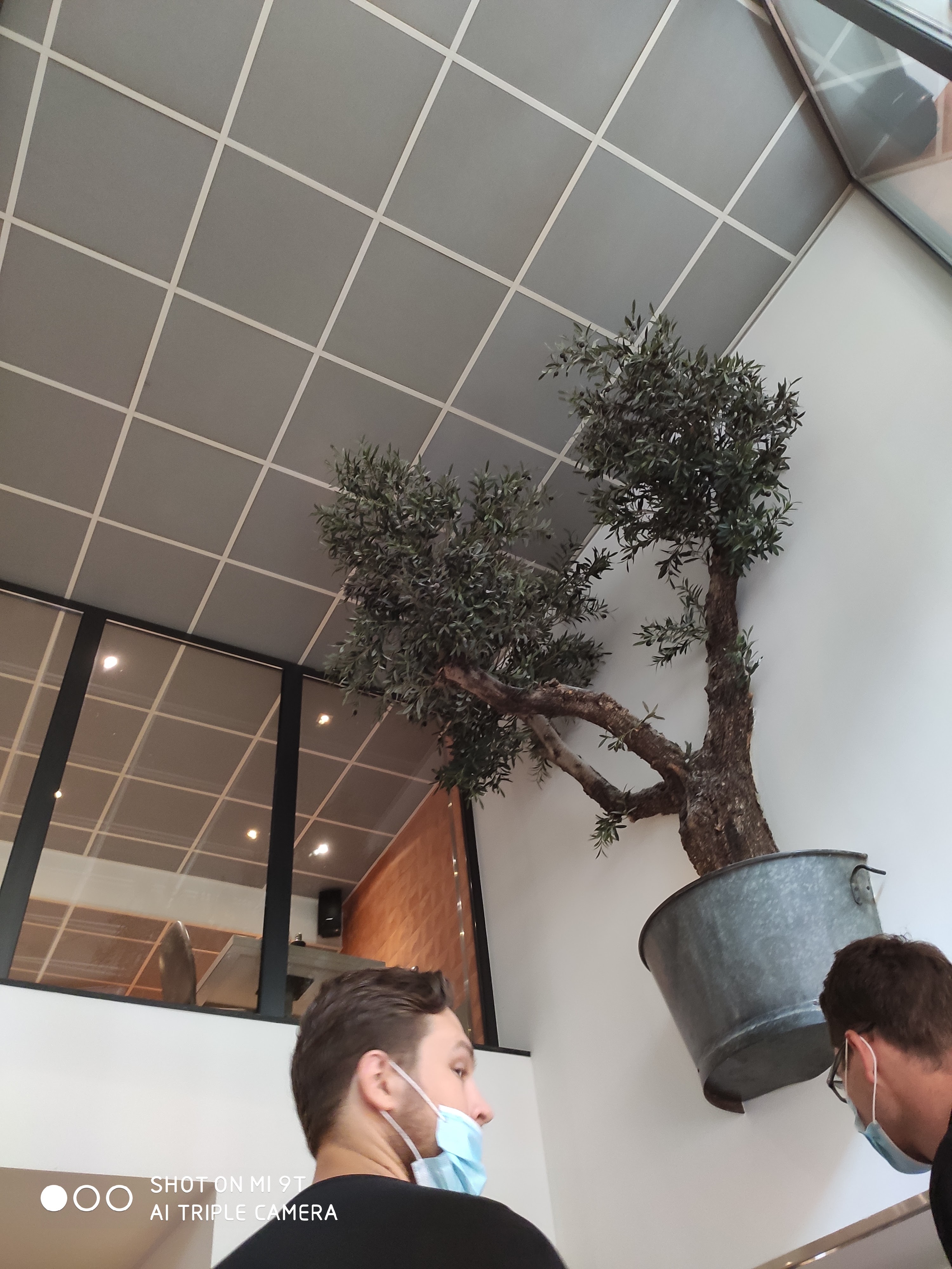 Photo n° 1 de l'avis de Clément.t fait le 11/08/2020 à 09:47