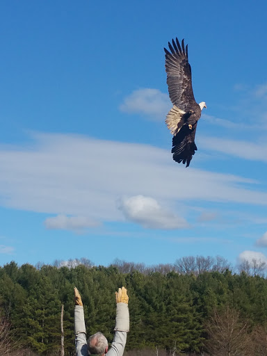 State Park «Caledon State Park», reviews and photos, 11617 Caledon Rd, King George, VA 22485, USA