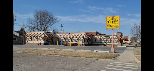 Pet Store «Critter Pet Shop», reviews and photos, 19309 Ecorse Rd, Allen Park, MI 48101, USA