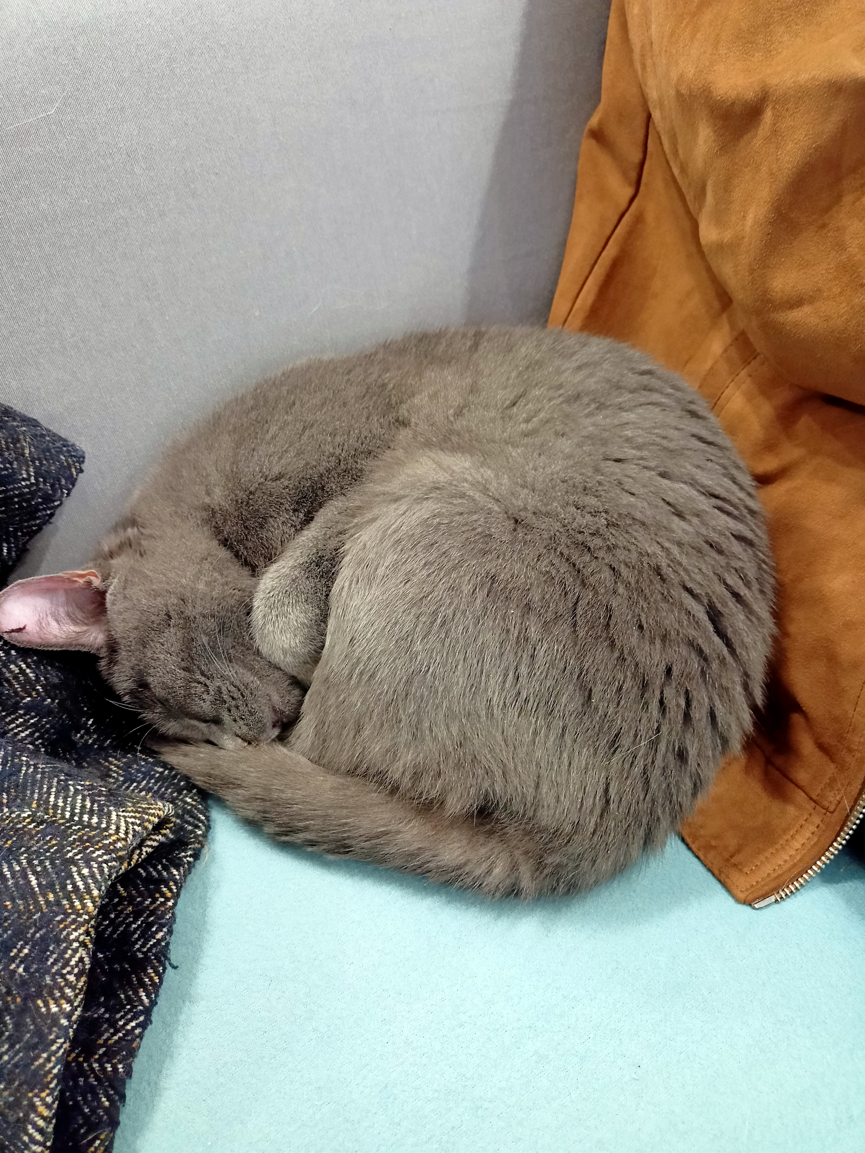 Photo n° 18 de l'avis de Espoir.� fait le 16/10/2022 à 17:44