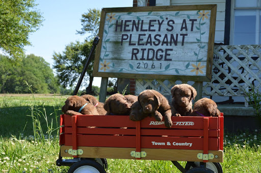 Fruit and Vegetable Store «Henley Farm», reviews and photos, 3513 Charity Neck Rd, Virginia Beach, VA 23456, USA