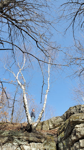 Nature Preserve «Chimney Rock Scientific and Natural Area (SNA)», reviews and photos, Joan Ave, Hastings, MN 55033, USA