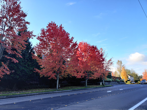 Park «Tambark Creek Park», reviews and photos, 17217 35th Ave SE, Bothell, WA 98012, USA