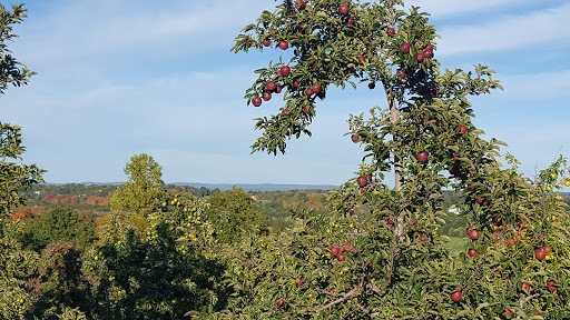 Golf Club «Lyman Orchards Golf Club», reviews and photos, 70 Lyman Rd, Middlefield, CT 06455, USA