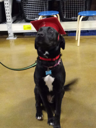 Pet Supply Store «PetSmart», reviews and photos, 573 N McKinley St, Corona, CA 92879, USA