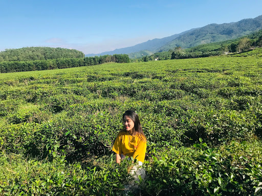 Top 20 cửa hàng thịt sạch Huyện Đông Giang Quảng Nam 2022
