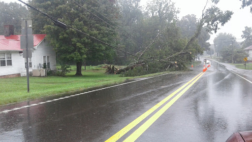 Home Goods Store «Dollar General», reviews and photos, 7730 Old Hwy 41 N, Adams, TN 37010, USA