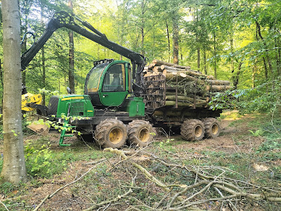 SARL Debove Bois à Beussent