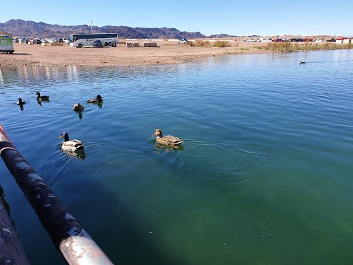 Dam «Hoover Dam», reviews and photos