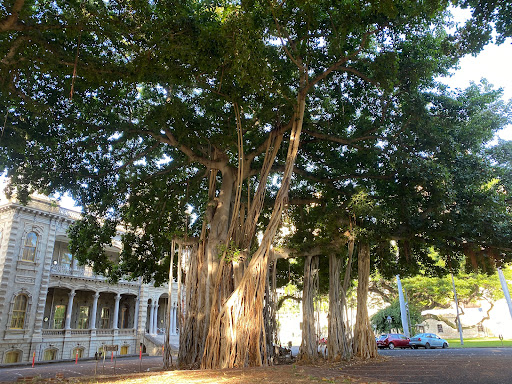 Banyan Tree Terrace