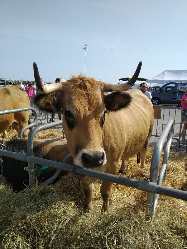 Photo n° 1 de l'avis de Micheline.A fait le 17/09/2019 à 06:15
