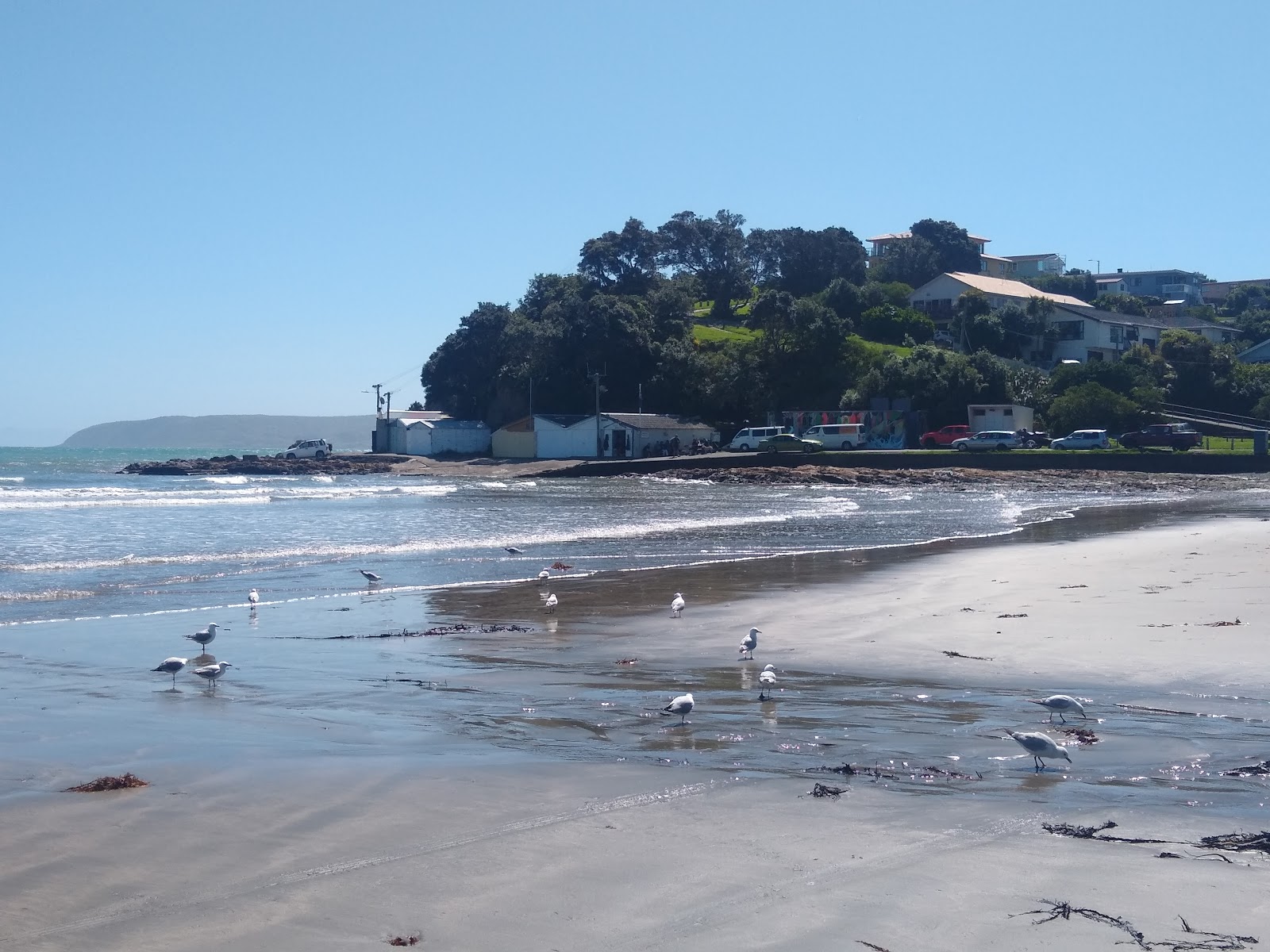 Titahi Bay Beach photo #7