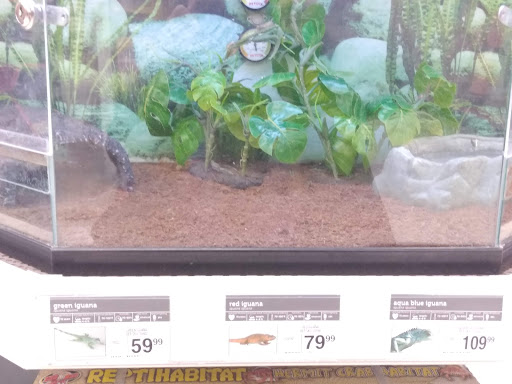 Pet Supply Store «Petco Animal Supplies», reviews and photos, 1207 S Caraway Rd, Jonesboro, AR 72401, USA