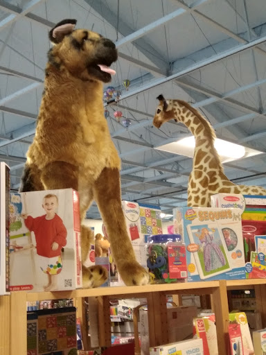 Toy Store «Kaleidoscope Toys», reviews and photos, 2421 Magowan Dr, Santa Rosa, CA 95405, USA