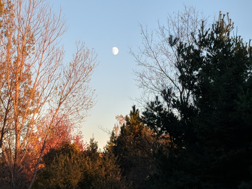 Florist «Camrose Hill Flower Studio», reviews and photos, 14587 30th St N, Stillwater, MN 55082, USA